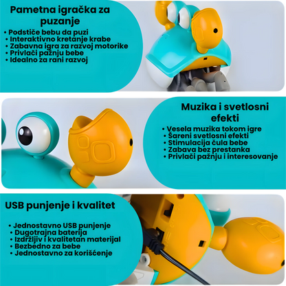 Edukativna Kraba Šetalica